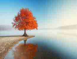 java后​端‍服‌务‌